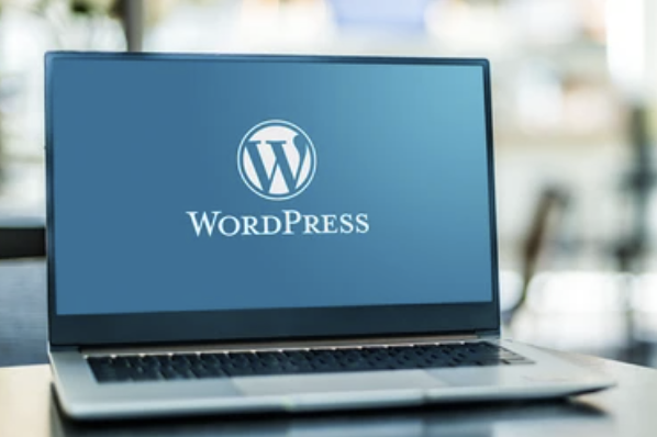 WordPress主题 - 定制网站外观，提升用户体验。
