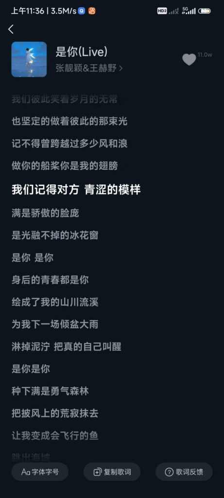 波点音乐，白嫖音乐，一站式解决音乐需求-应用软件论坛-软件下载-天亦资源网